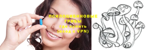 a pvp Ельня