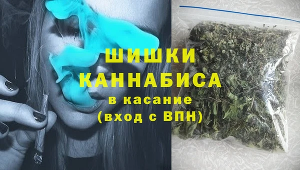 a pvp Ельня