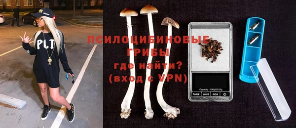 a pvp Ельня