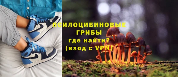 ГАЛЛЮЦИНОГЕННЫЕ ГРИБЫ Елизово